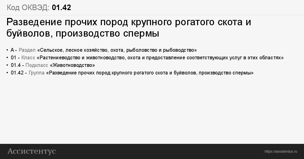 33.12 оквэд расшифровка. Код ОКВЭД. ОКВЭД перевозка грузов. ОКВЭД пассажирские перевозки. 46.19 ОКВЭД.