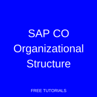 SAP CO Organizational Structure