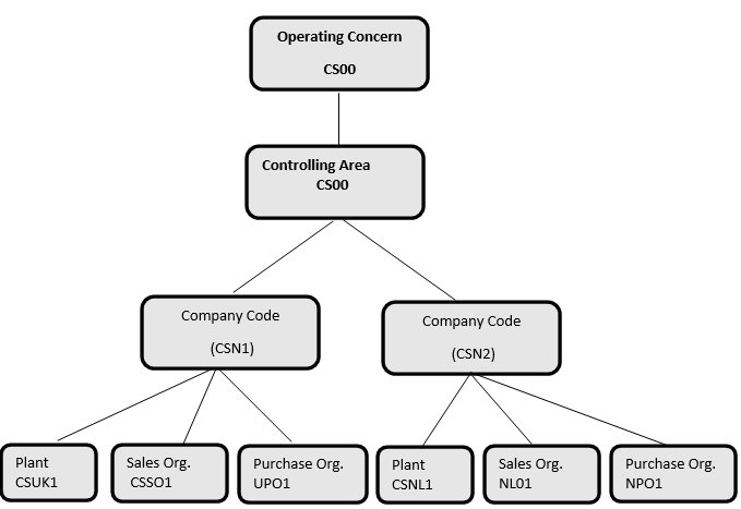 Organizational Structure for Comserve Network