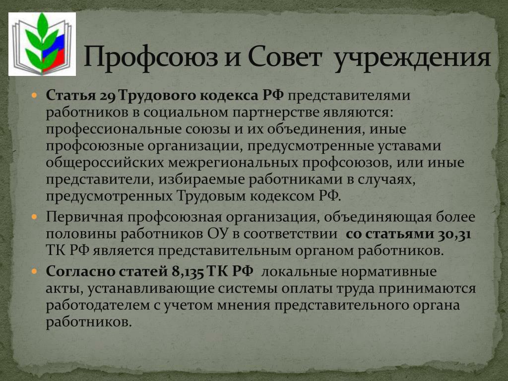 Представители работников профсоюз. Представители работников в социальном партнерстве. Профсоюзы и иные представители работников. Иные профсоюзные организации это. Трудовой кодекс представители работников.