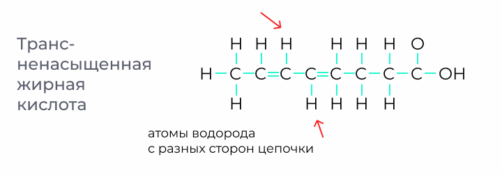 Пример структуры транс-ненасыщенной жирной кислоты