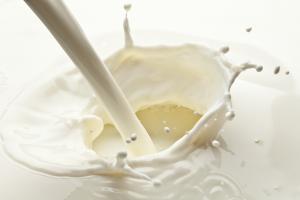 closeup of fresh milk splash