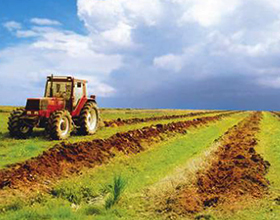 Основные плюсы и минусы крестьянского-фермерского хозяйства
