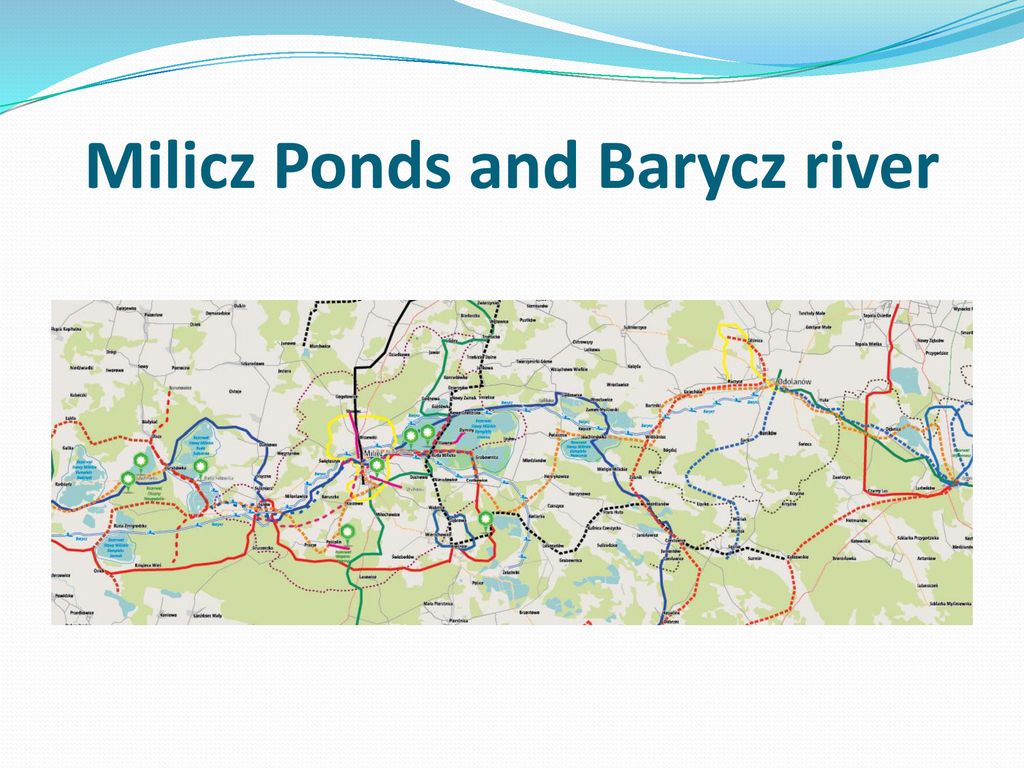 Milicz Ponds and Barycz river