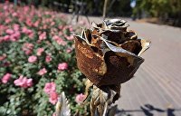 Миллион ржавых роз. В Донецке гибнет арт-объект мирового значения