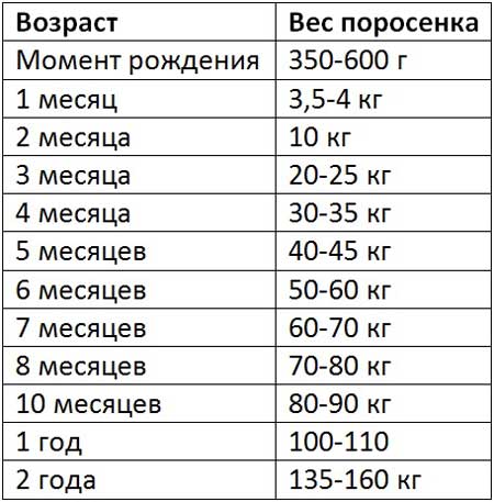 Таблица веса вьетнамских свиней по месяцам